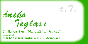 aniko teglasi business card